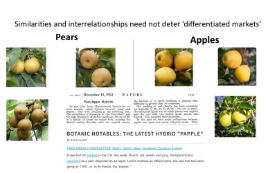 Electricity transition and the PearApple market – Clarifications on proposals for ‘splitting the market’ between gas and renewables