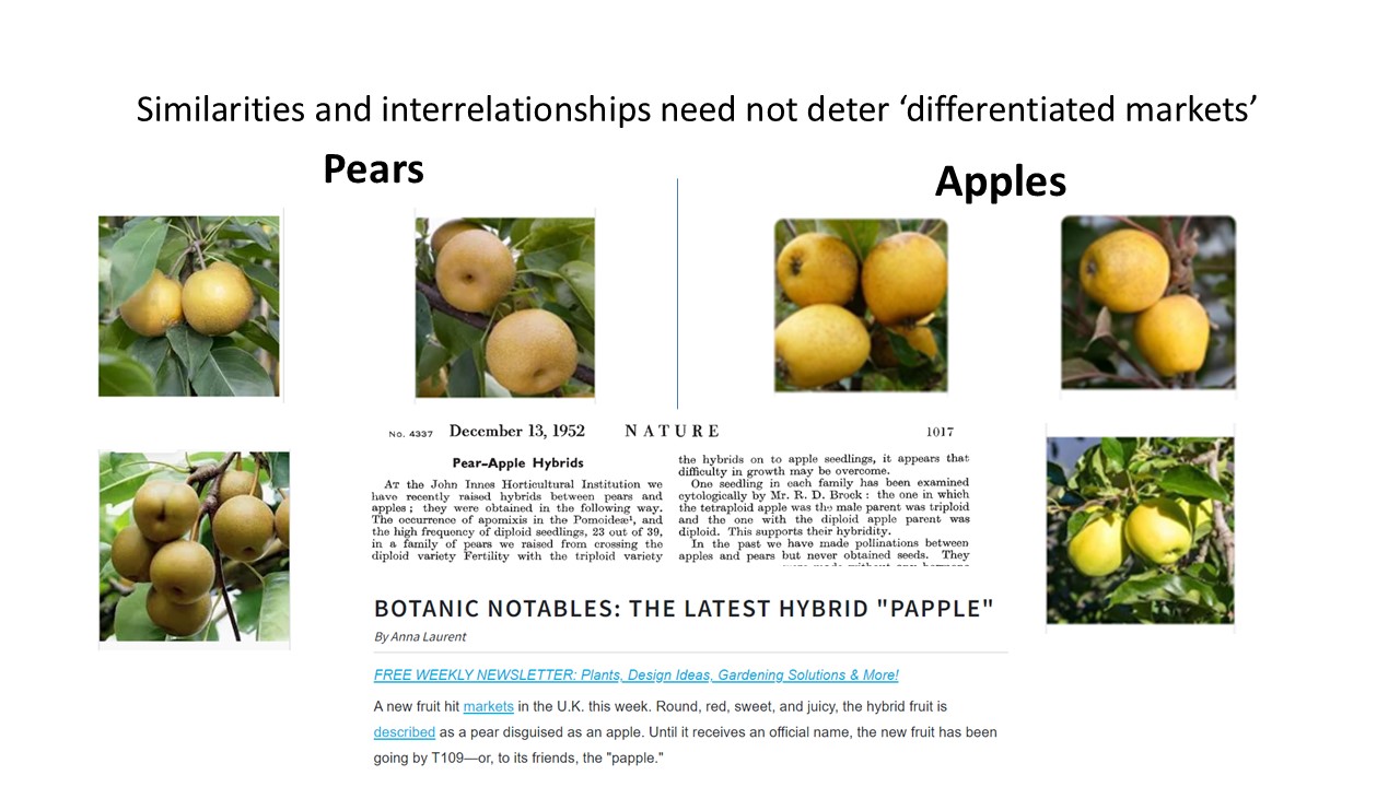 Electricity transition and the PearApple market – Clarifications on proposals for ‘splitting the market’ between gas and renewables